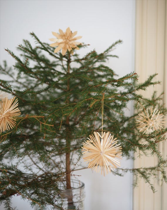 catho-retro-sapin-naturel