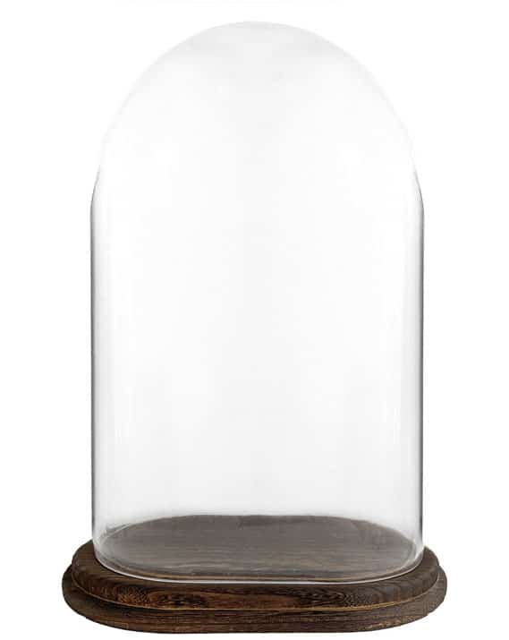 Grande cloche en verre avec son socle - Catho Rétro