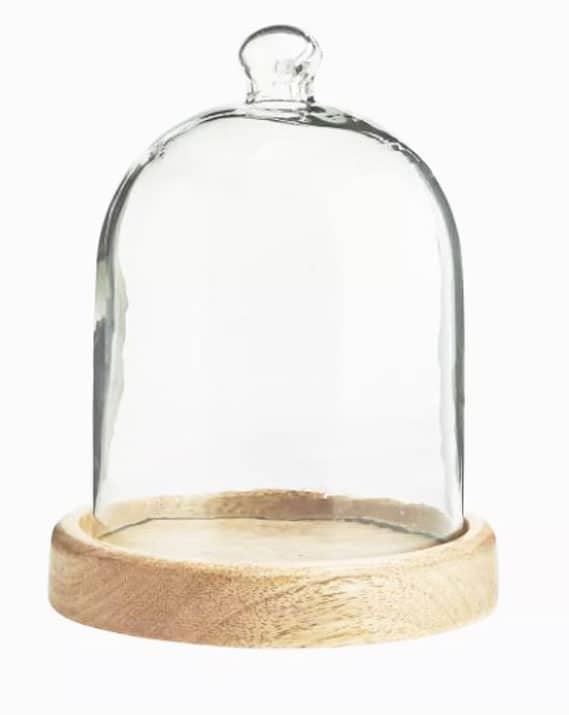 Petite Cloche en Verre 15 cm Hauteur